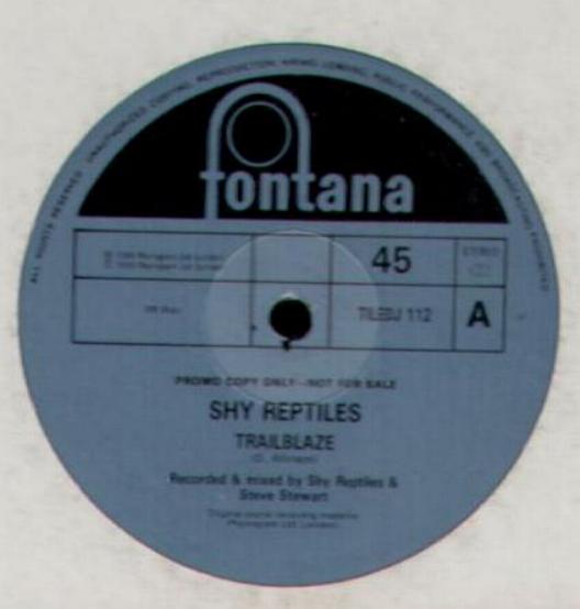Shy Reptiles 12"