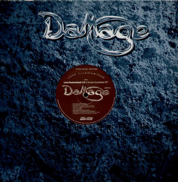 Damage 12"