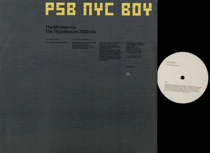 Pet Shop Boys 12"