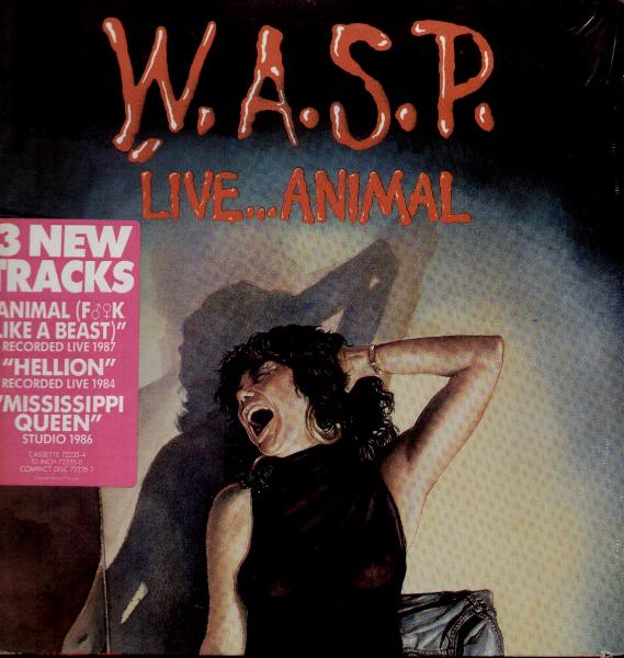 Live Animal - Wasp