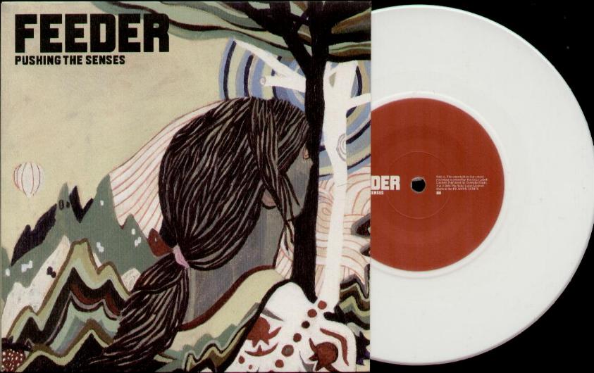 Feeder - Pushing The Senses Vinyl