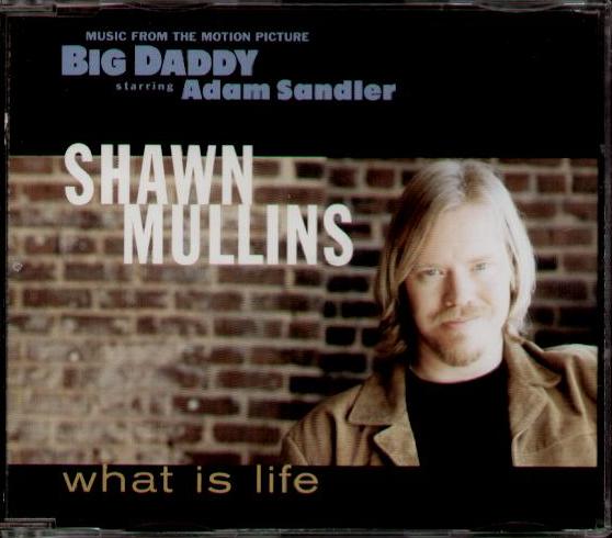 What Is Life - Shawn Mullins