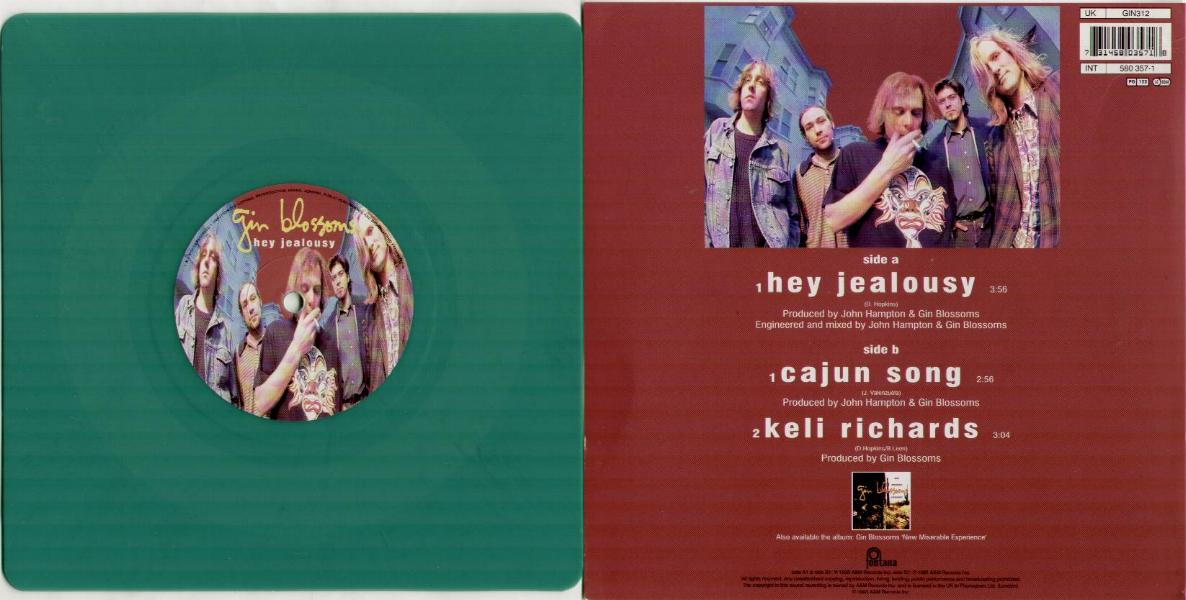 Gin Blossoms - Hey Jealousy Record