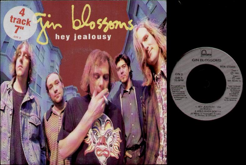 Gin Blossoms - Hey Jealousy LP