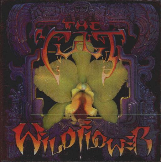 Cult - Wild Flower Album