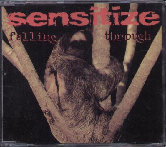 Sensitize - Falling Through