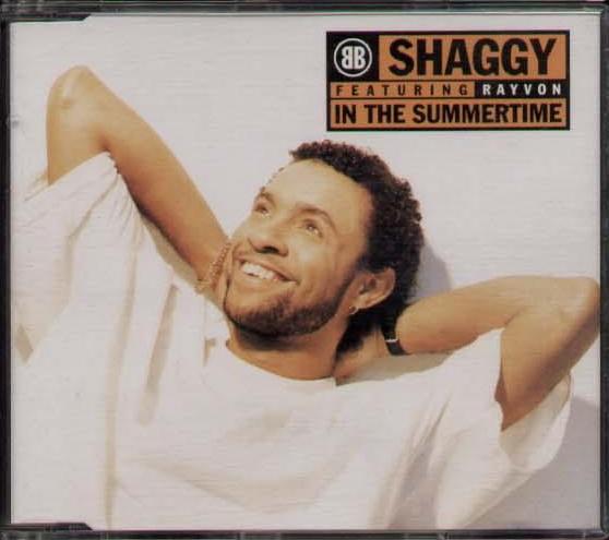 Shaggy Featuring Rayvon - In The Summertime Record