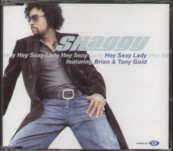 SHAGGY - Hey Sexy Lady