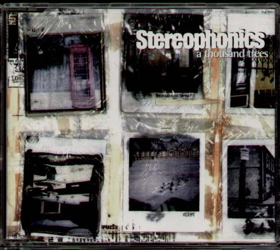 Stereophonics - A Thousand Trees
