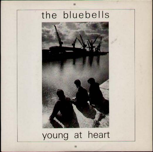 Bluebells 7"