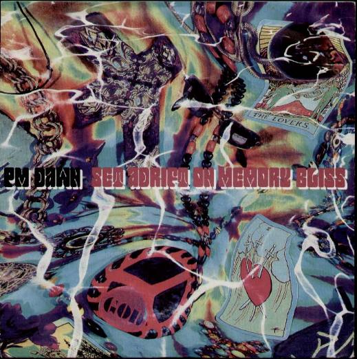 Pm Dawn - Set Adrift On Memory Bliss Record