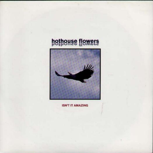 Isn't It Amazing - Hothouse Flowers